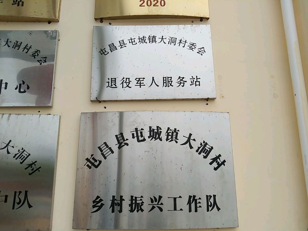 屯昌县屯城镇大洞村委会退役军人服务站