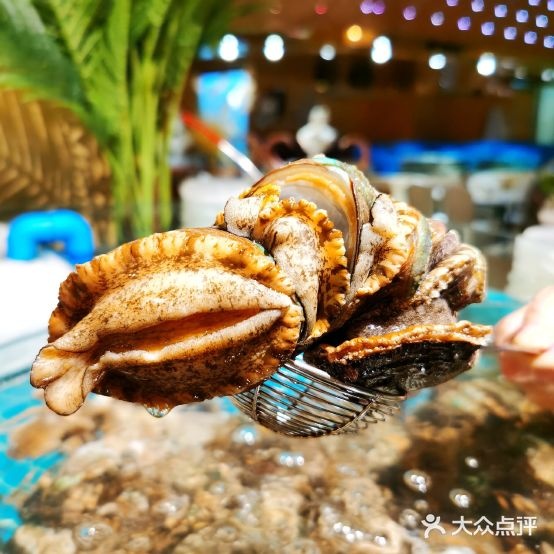 【雍容荟海鲜自助餐(苏宁城市奥莱店)