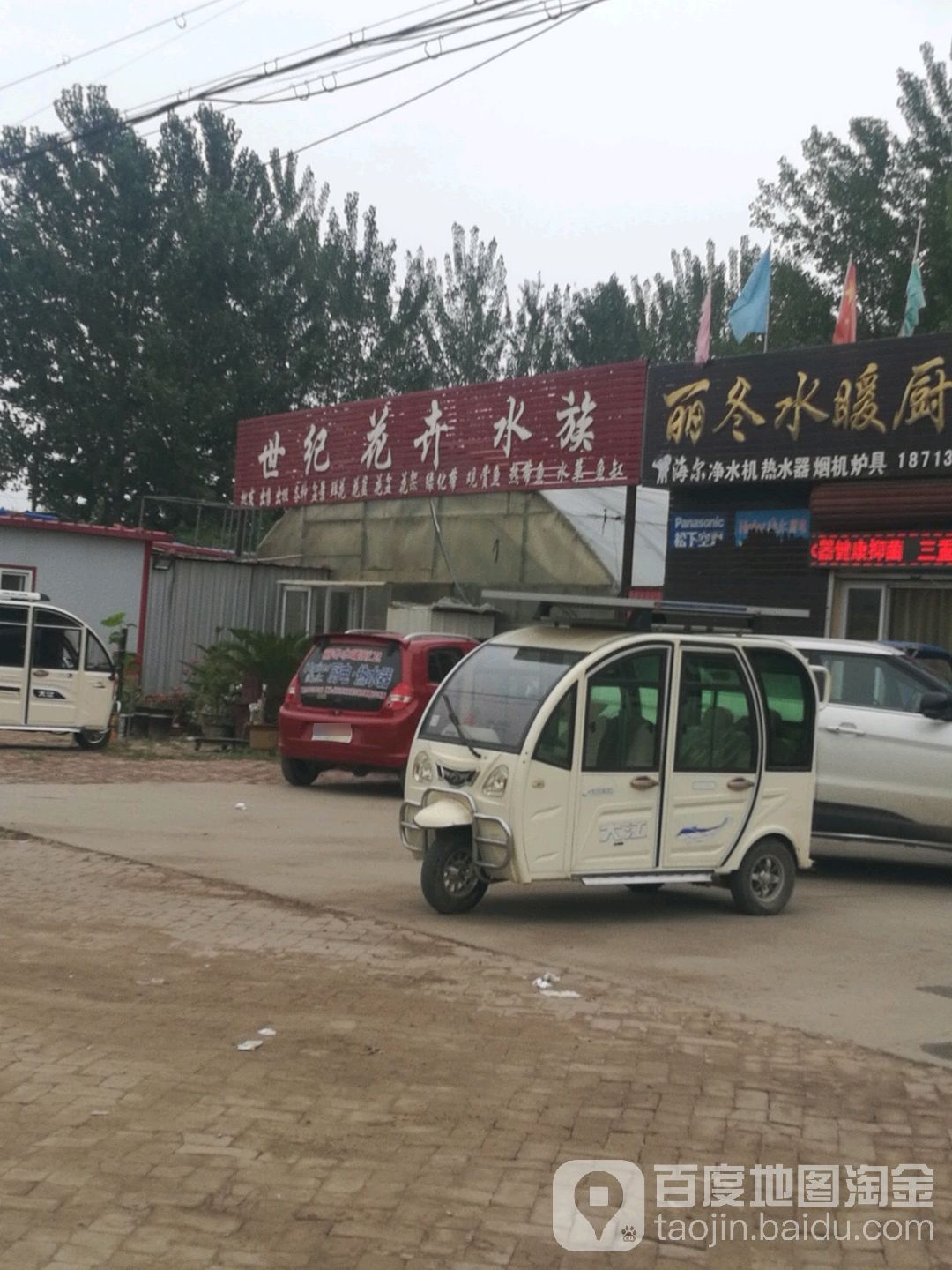 世纪花卉水族