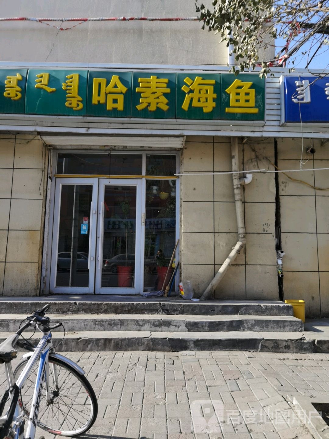 素海y