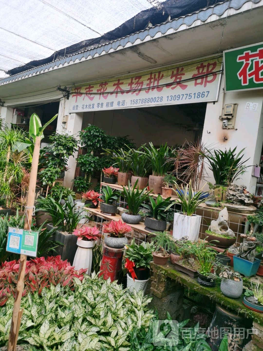 平志花木场批发部