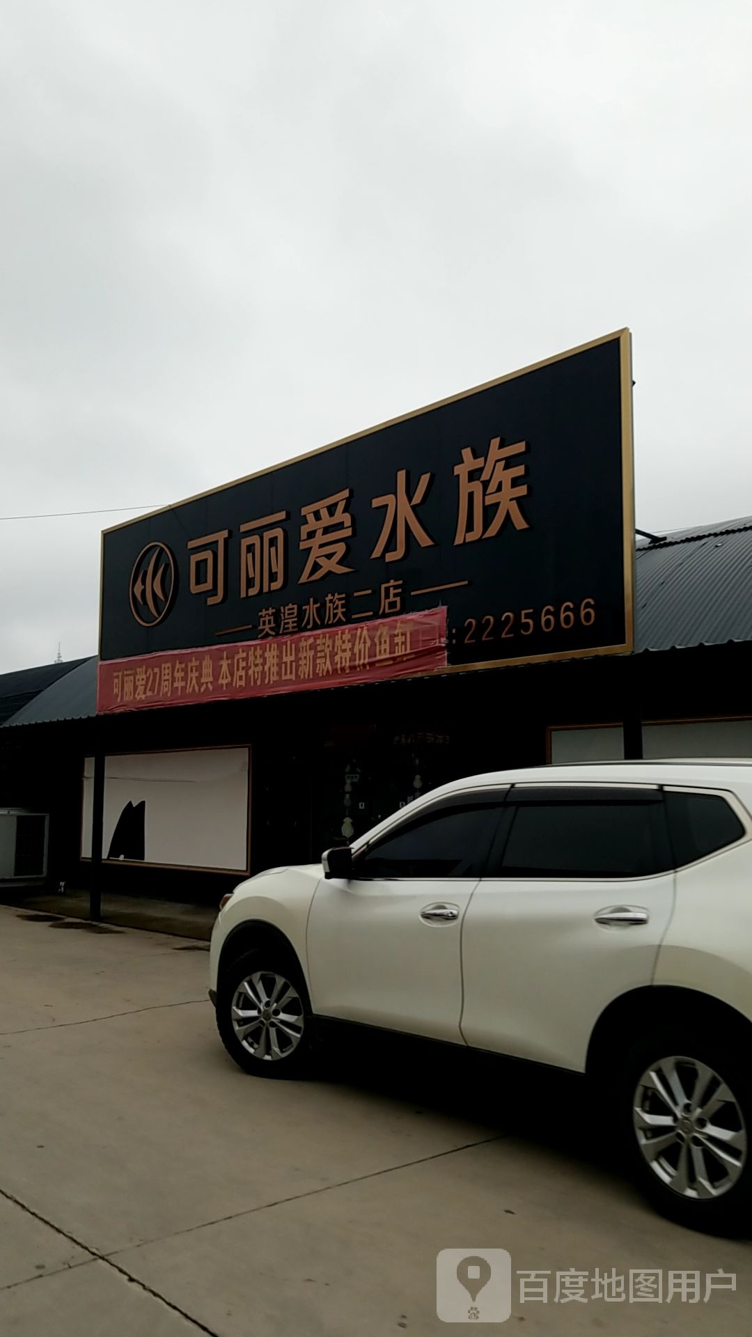 可丽瞹水族(胜利东路店)