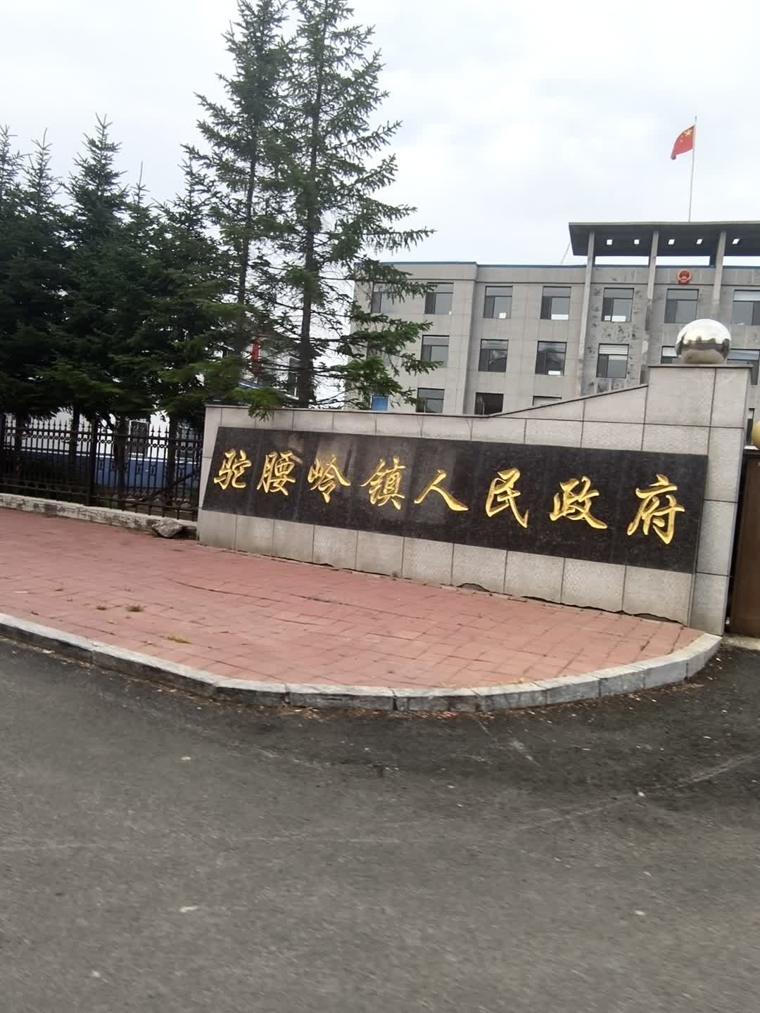 柳河县驼腰岭镇人民政府