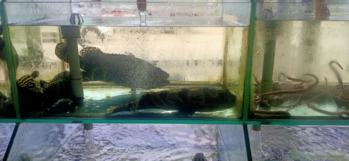 怡海农家小炒馆