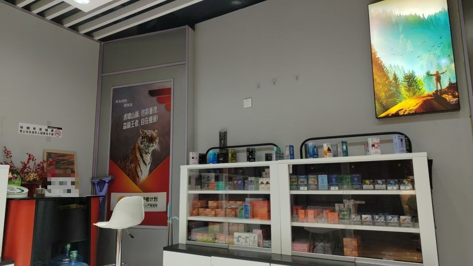 电子烟集合点(B.P.maxx City毕淘买生活广场店)