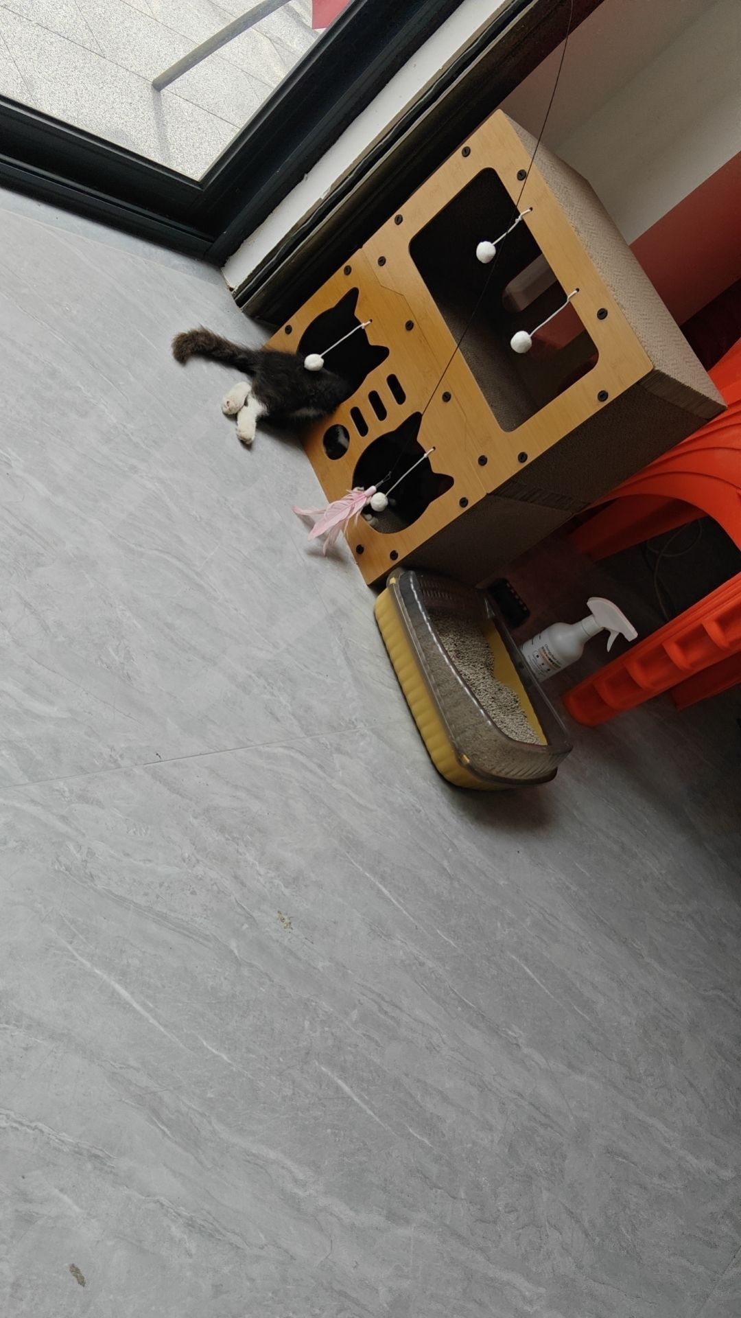 猫趣咖啡茶点铺