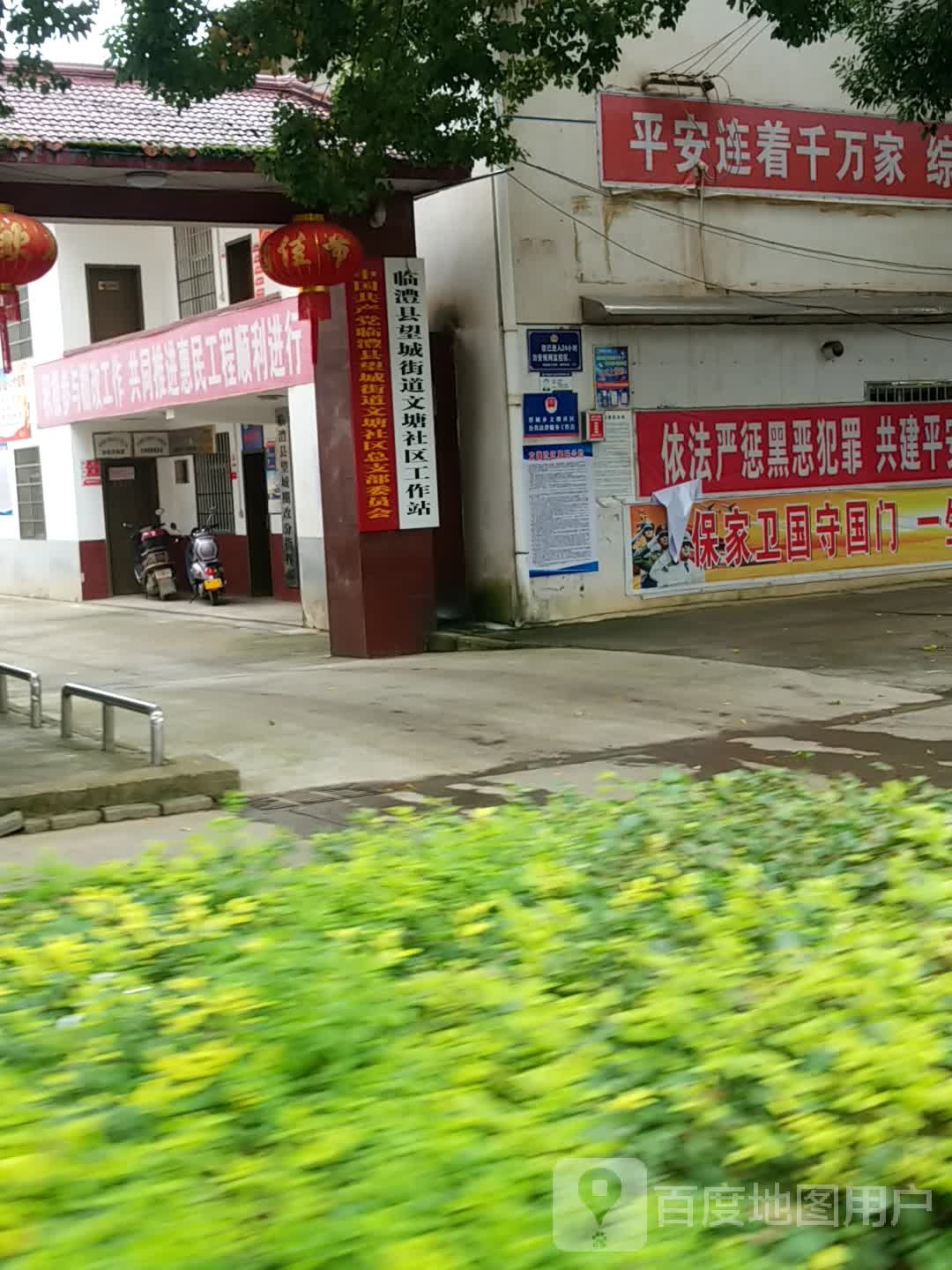 临澧县望城街道图片