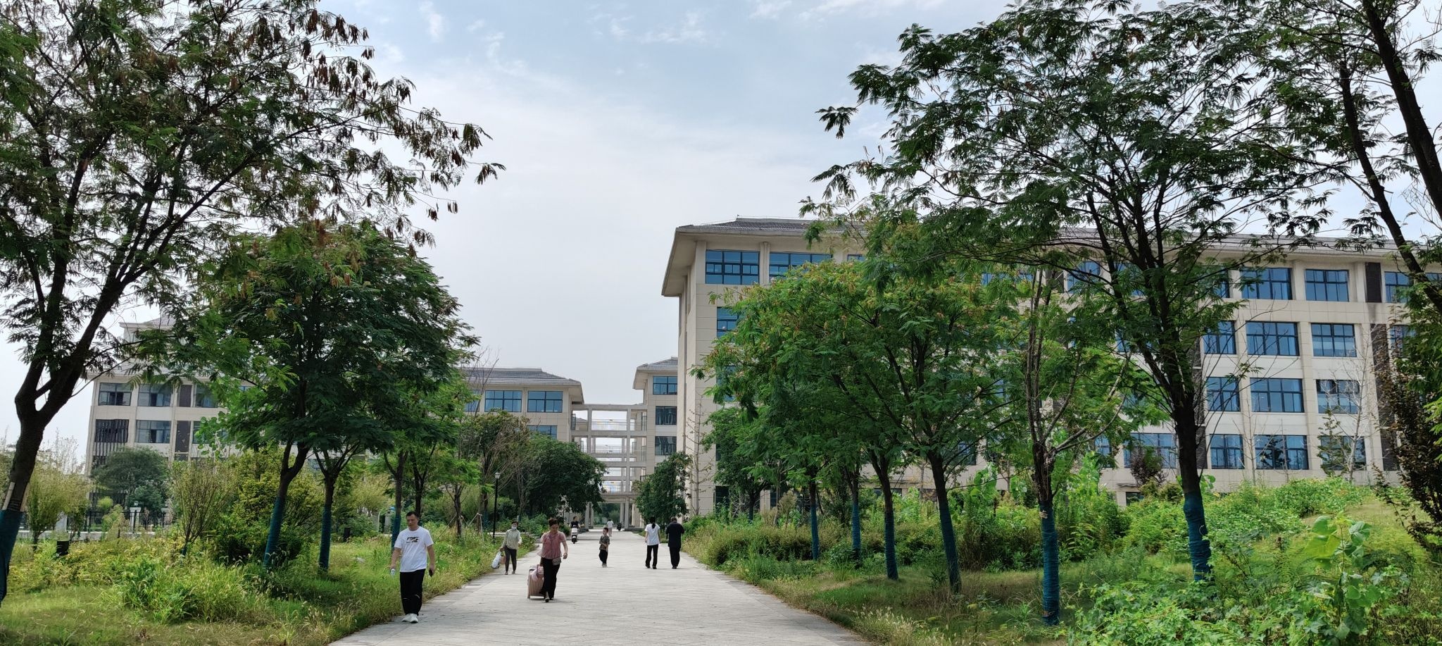 安徽省淮南卫生学校