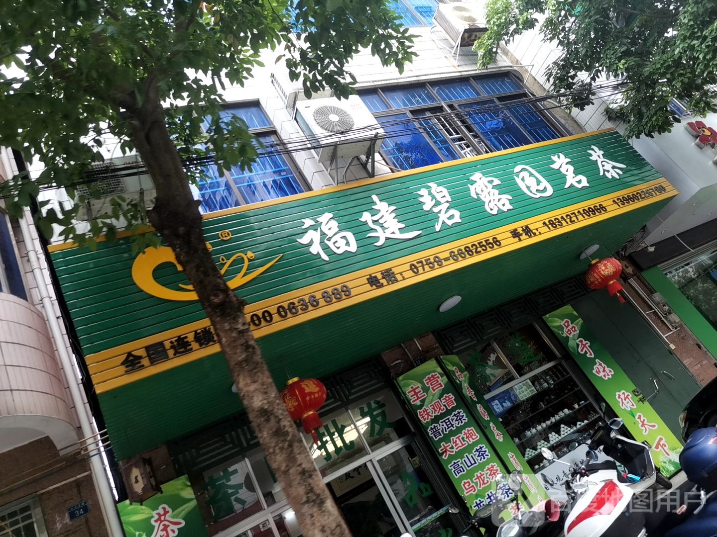 福建碧露园茗茶