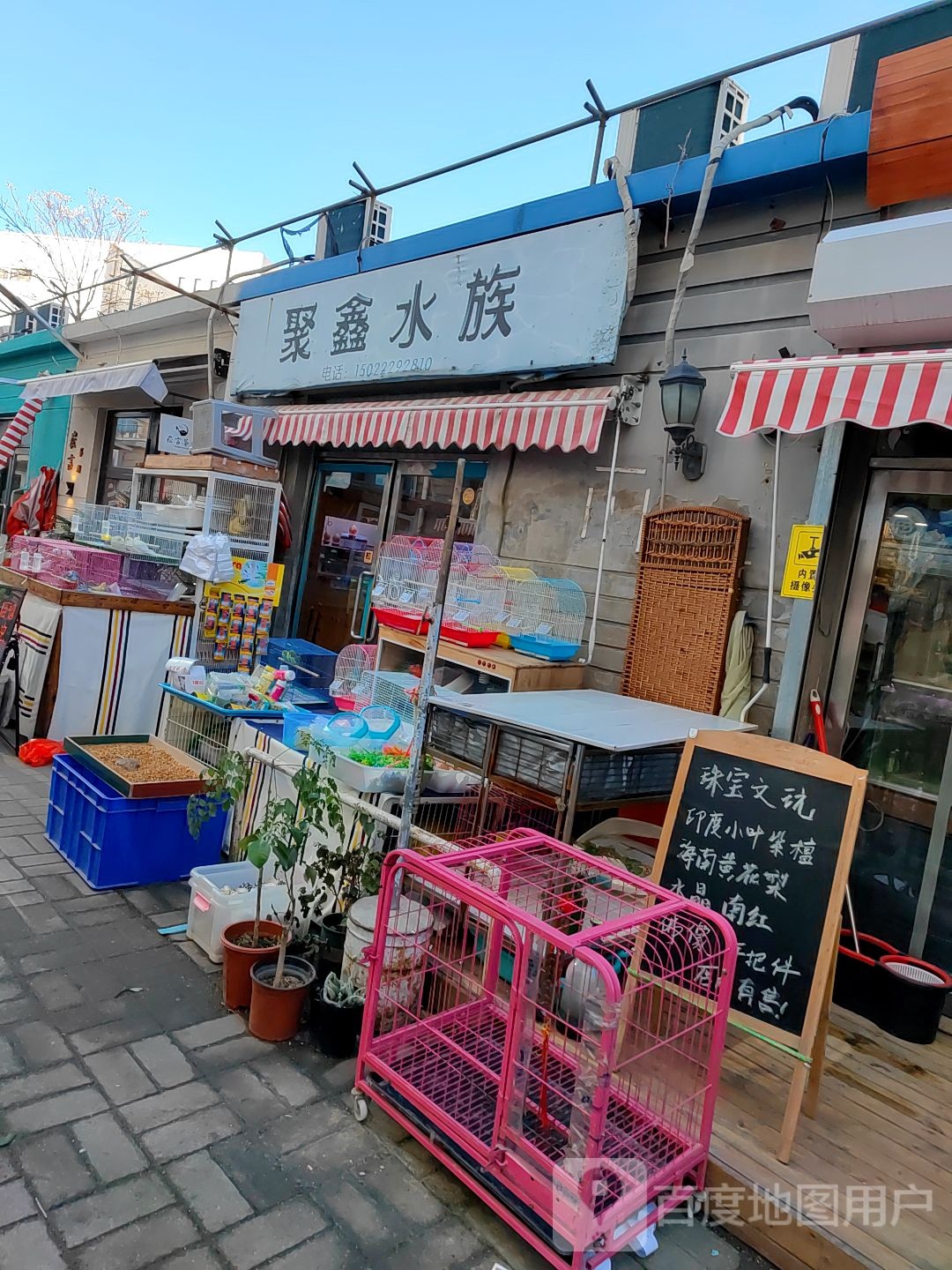 聚星水族(登发家装市场店)