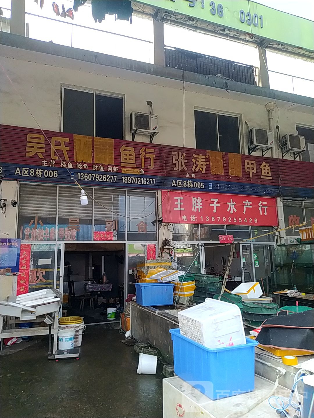 王胖子水产红