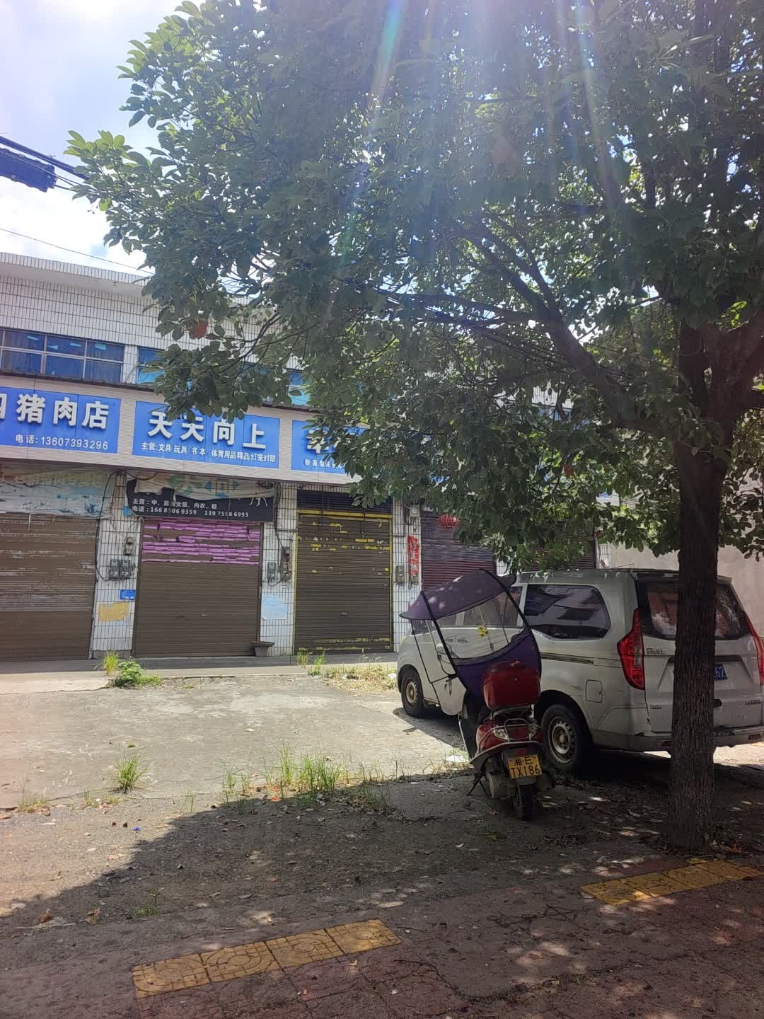 天天向上(辰溪路店)