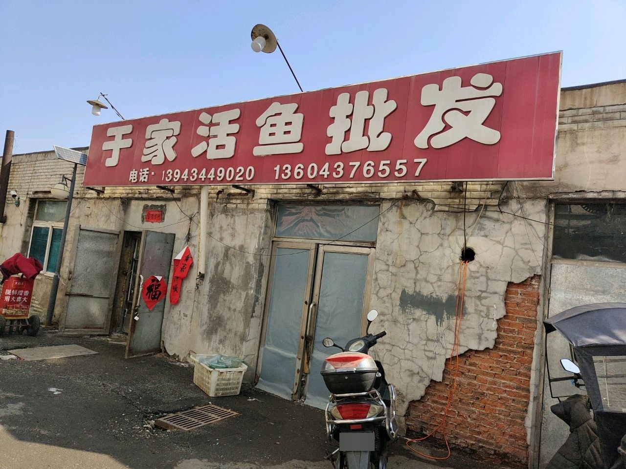 于家活鱼批发