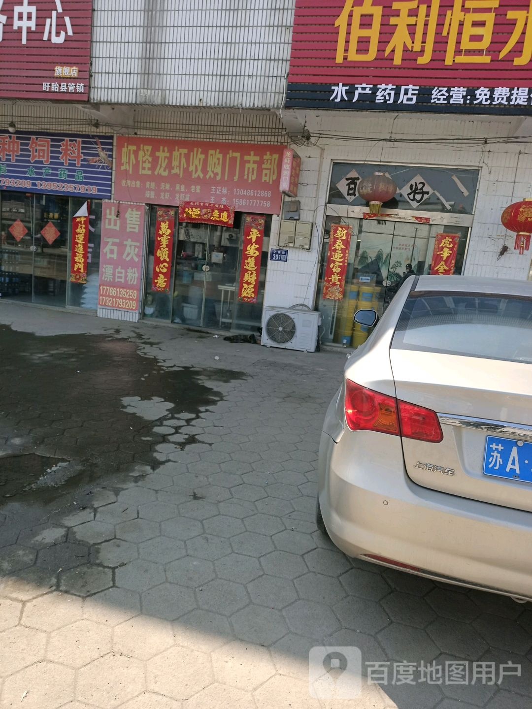 虾怪龙虾收购