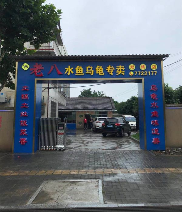 老八水鱼乌龟专卖店(双桥店)