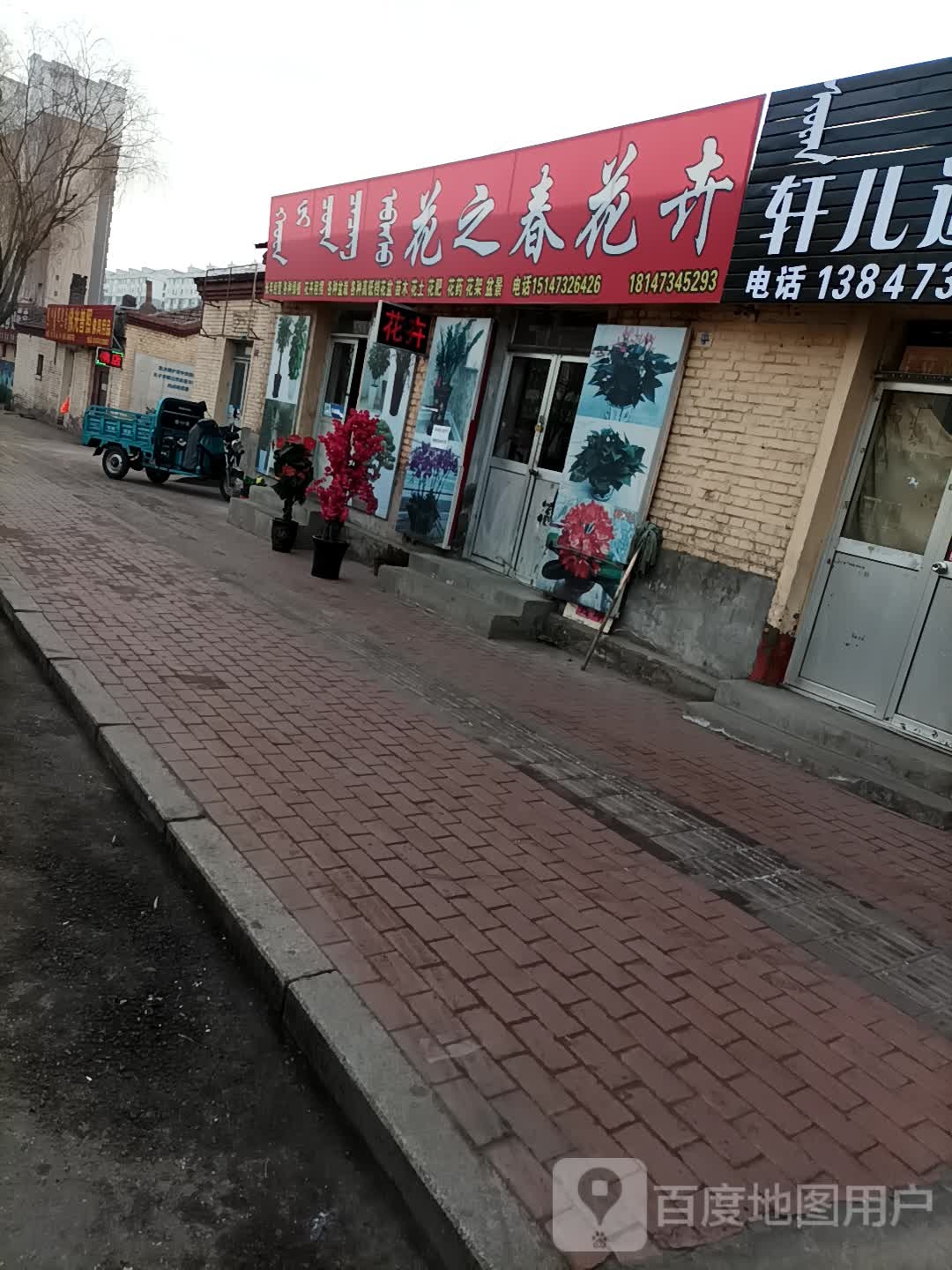 花之春花卉