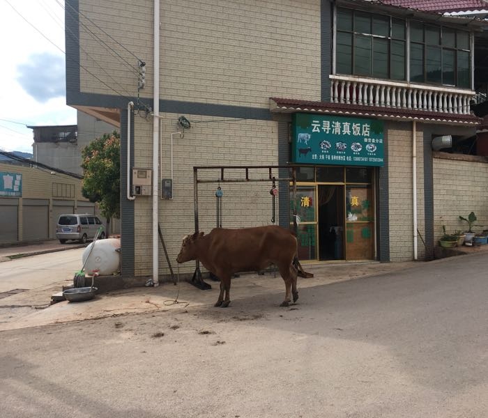 云寻清真饭店