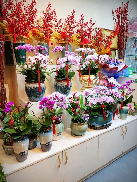 丽丽花坊(西安南路店)