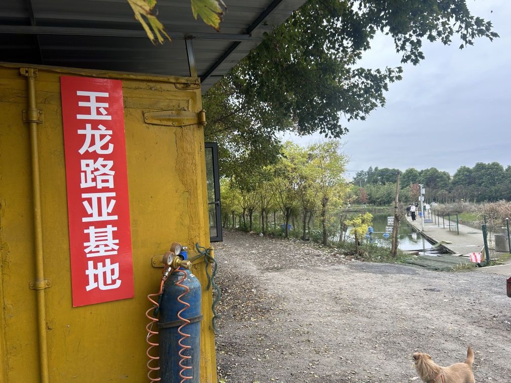 玉龙路亚基地