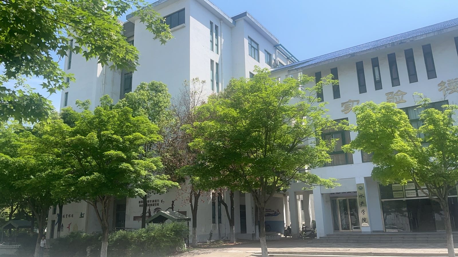 信阳农林学院-东北门