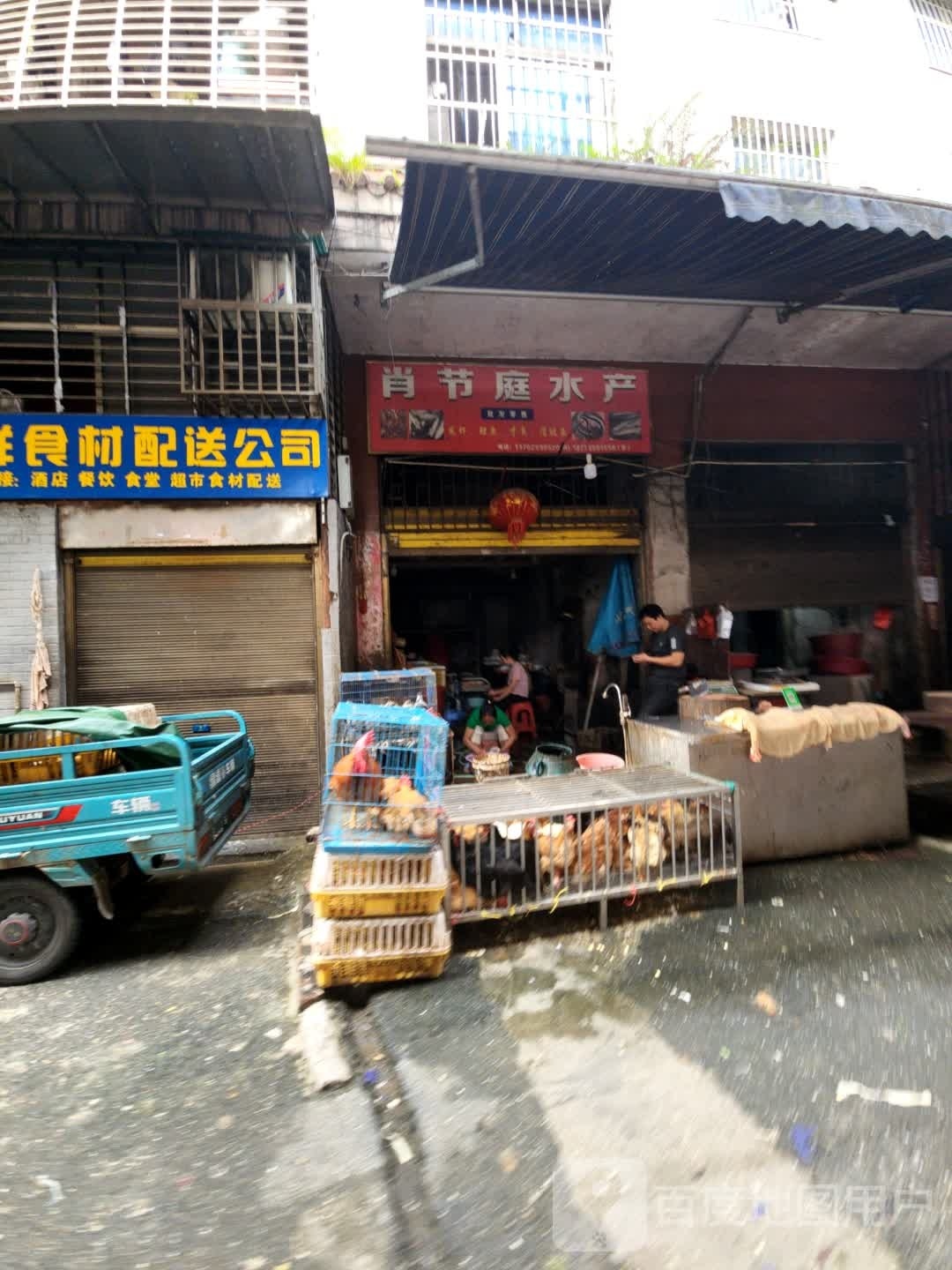 肖节庭睡产