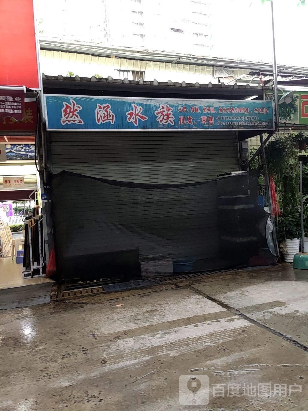 然涵水族(南宁永和花鸟市场店)