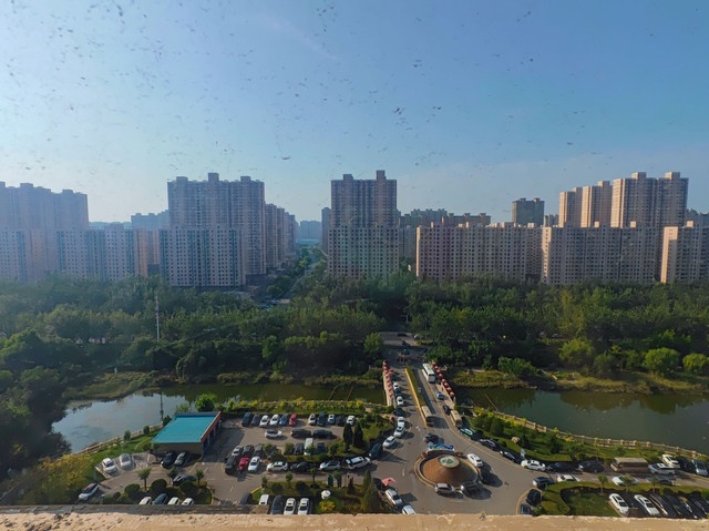 Cangzhouaerkadiya International Hotel
