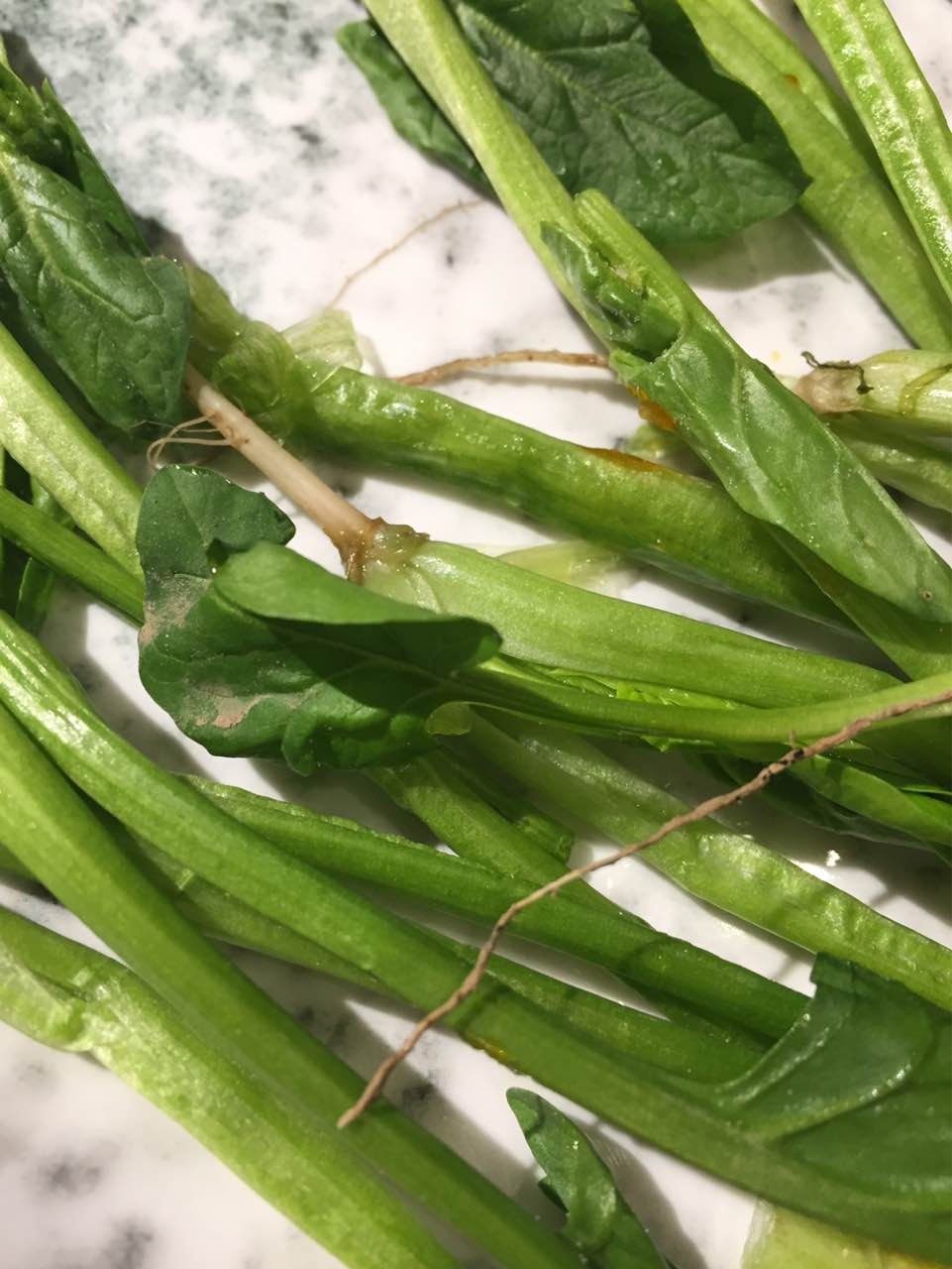 重庆老灶火锅(万达广场丰科店)