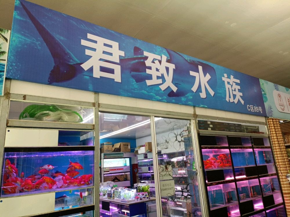 羲鄢致君水族(澳赢店)