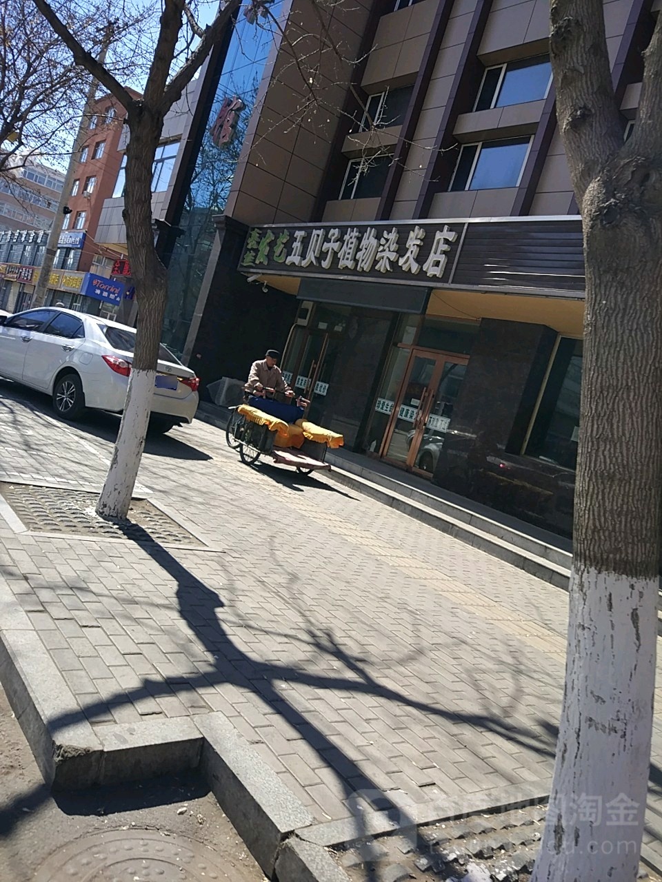五贝子植物染发