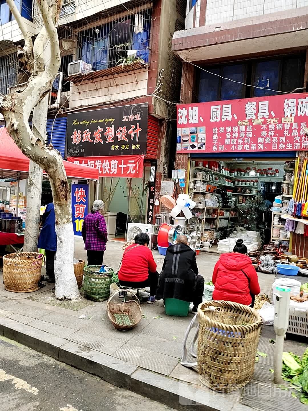彭政发型设计