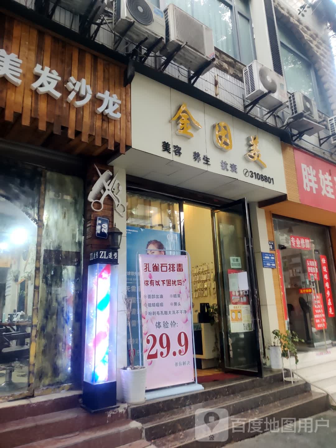 金因美美容羊生