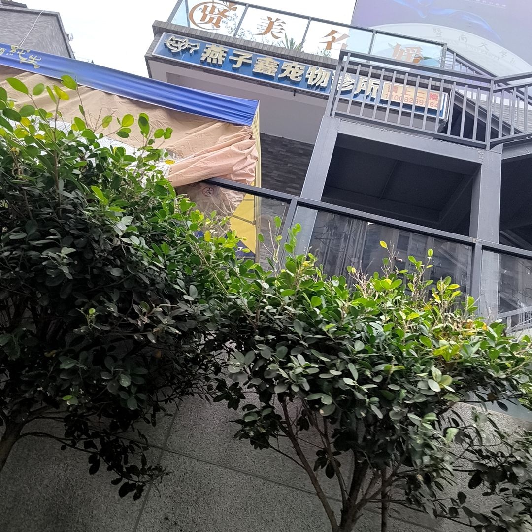 燕子鑫宠物诊所(铜锣湾广场店)