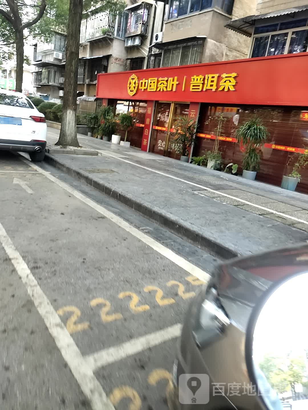 中国茶叶普洱茶(翊武路店)