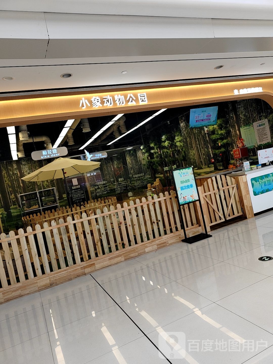 小象动物公园(新田360广场武洲国贸店)