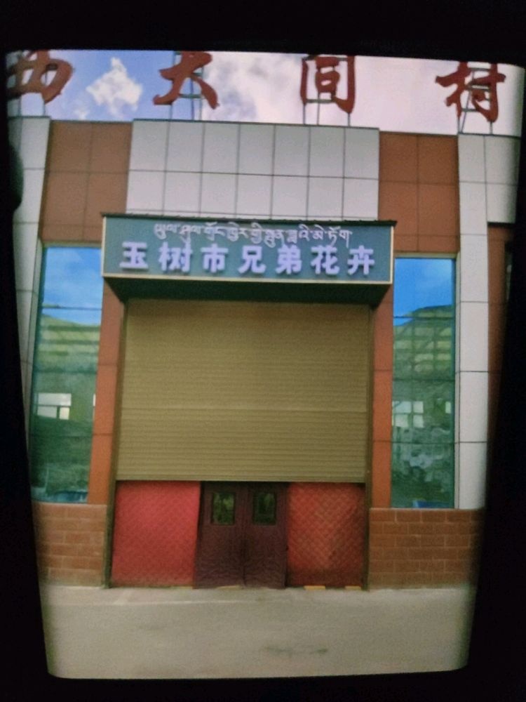 玉树市兄弟花卉