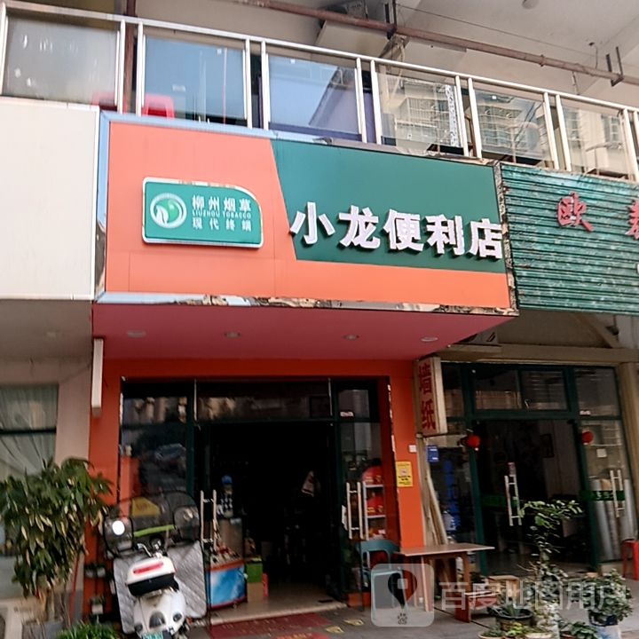 小龙便利店(鼎丰城店)