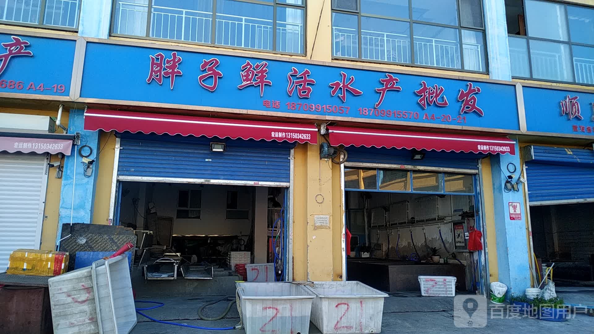 胖子鲜活睡产批发