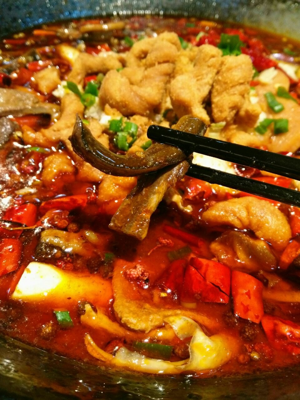 盛天毛血旺·川菜(青岛总店)