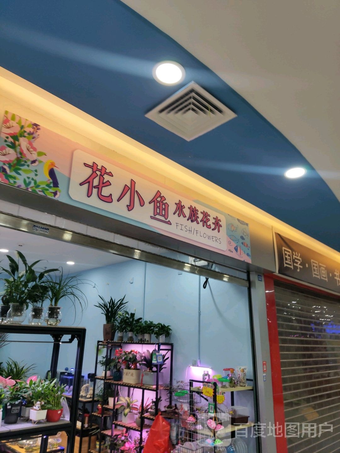 花小鱼水族花卉(角美万达广场店)