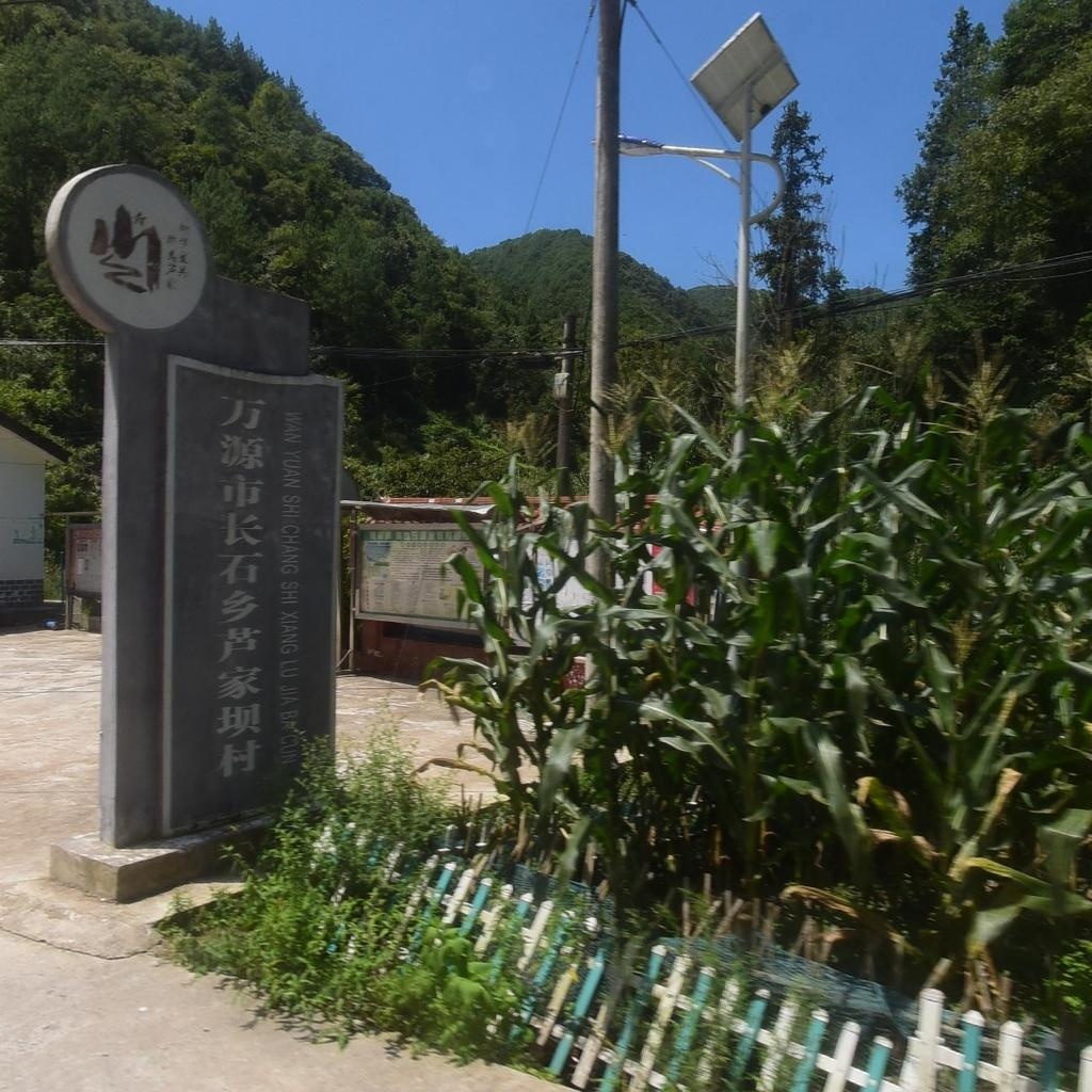卢家坝村