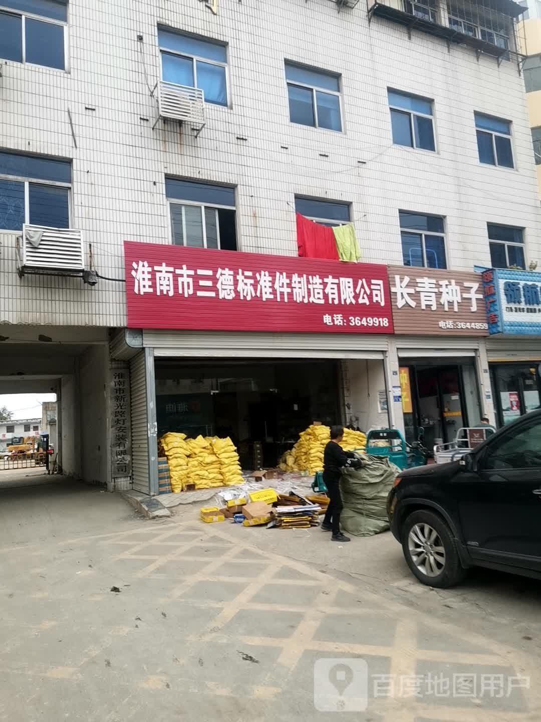 长青种子