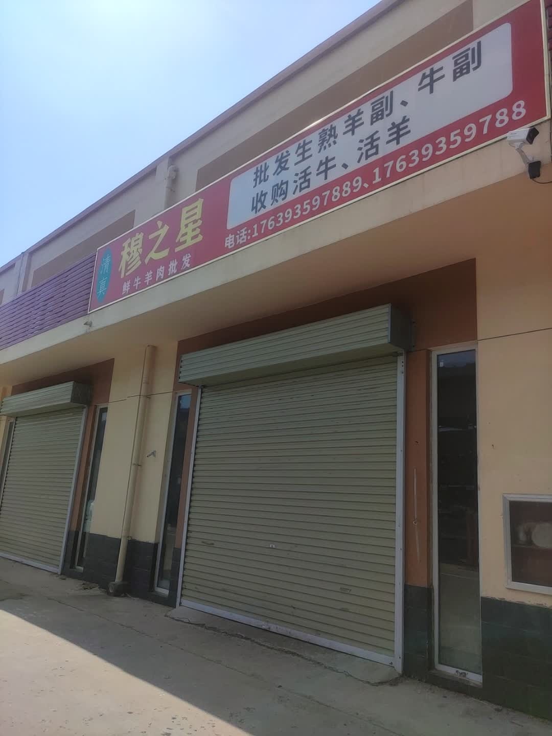 清真穆之星专注牛羊肉批发