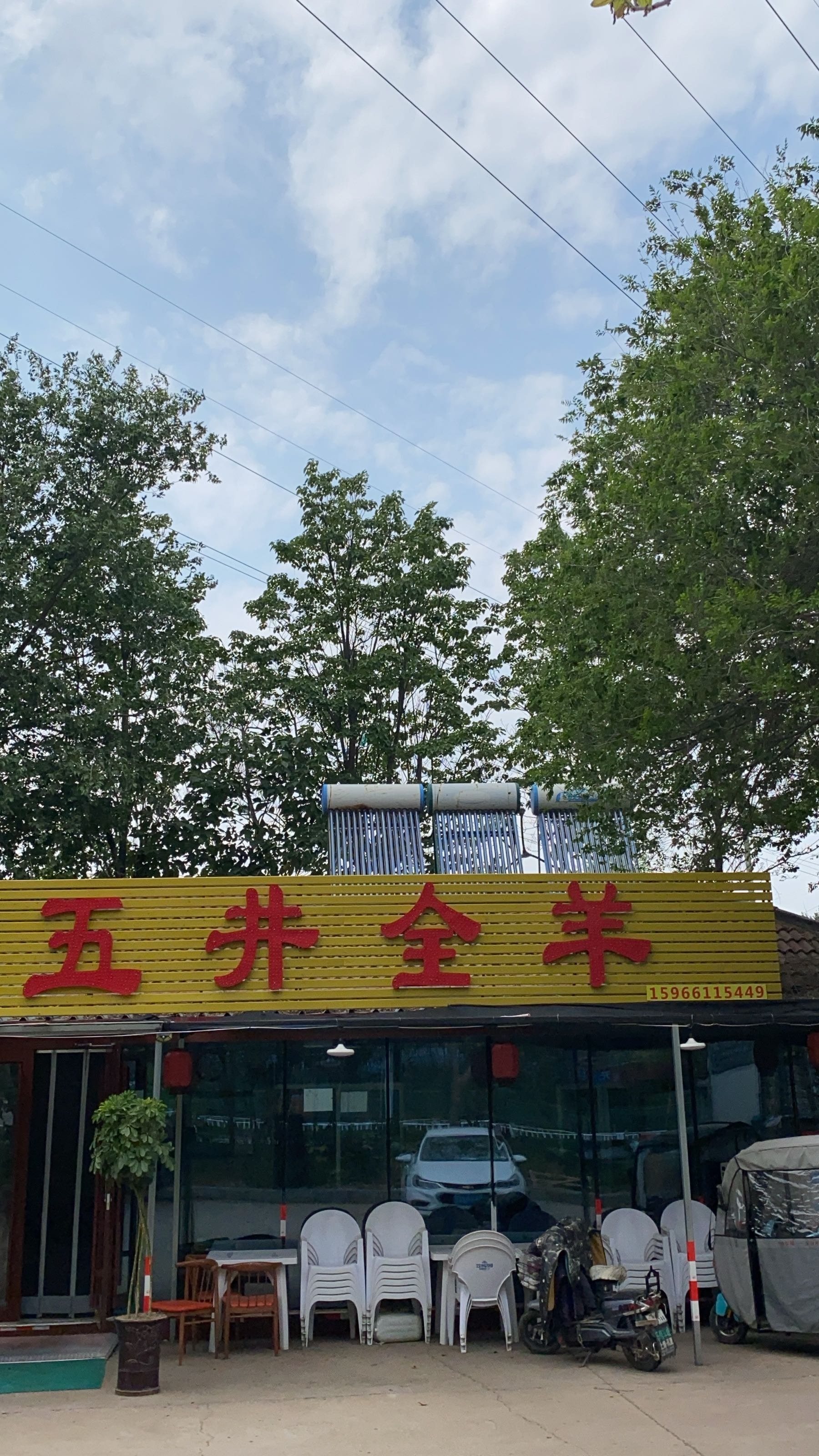 五井全羊