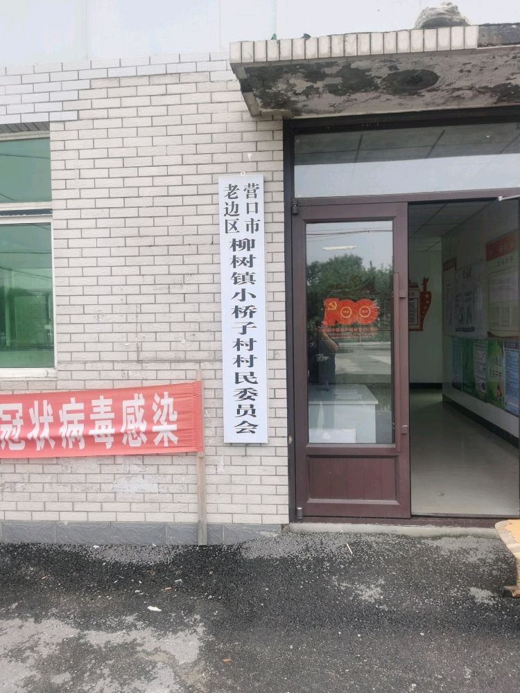 中共营口市老边区柳树镇小桥子村支部委员会