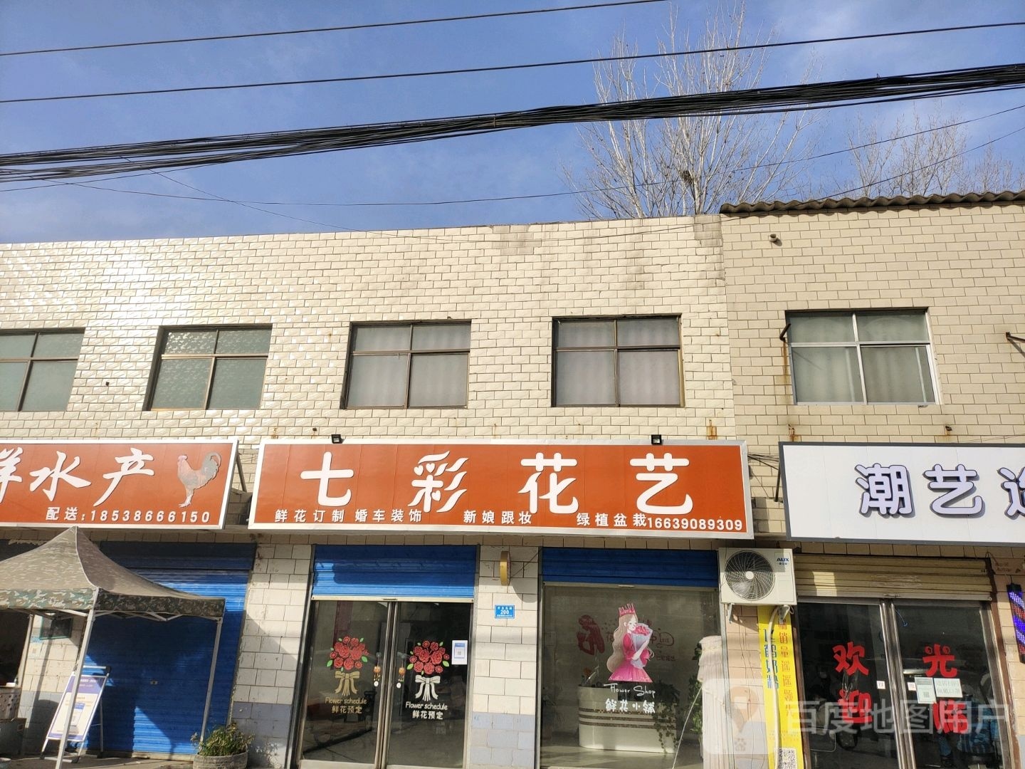 商水县郝岗镇七彩花艺(郝岗大街店)