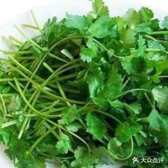 老末襄汾羊肉锅子(中大街新百汇店)