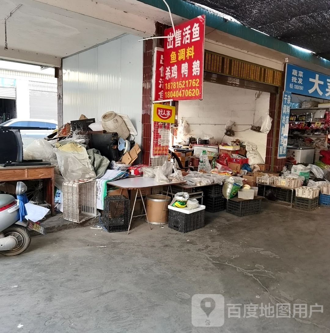 出售活鱼