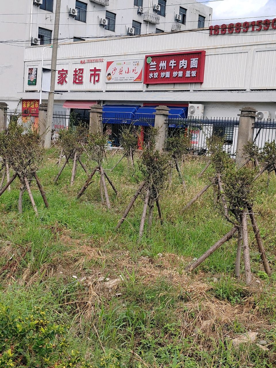 清真兰州牛肉面