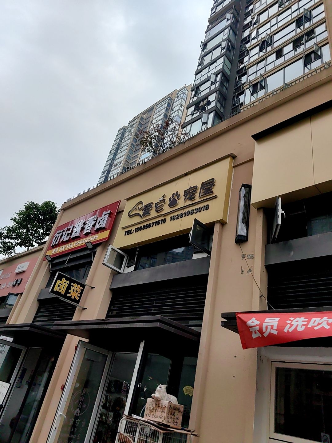 爱它宠屋(东原·观天下2期店)